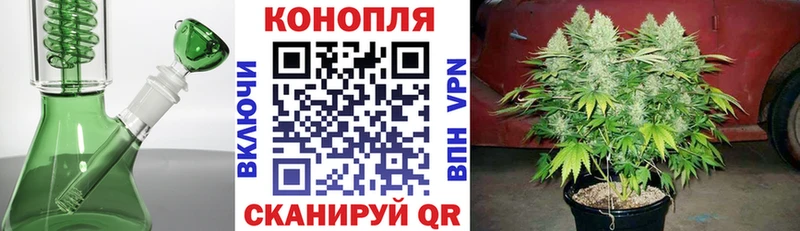 Конопля Bruce Banner  где можно купить наркотик  кракен маркетплейс  Кудрово 